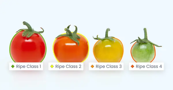 2025 03 BLOG Retrainability for Food Processing 1