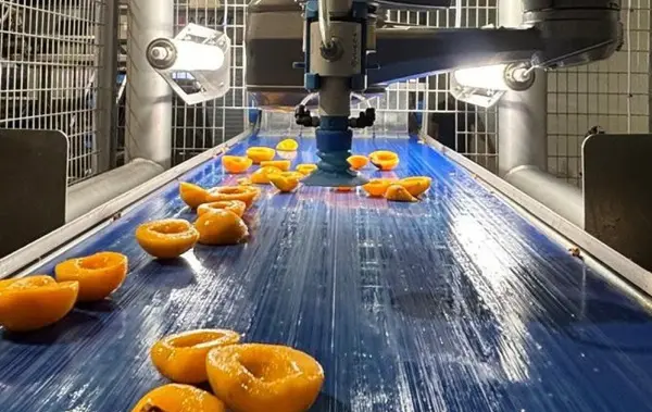 Use Case Peaches 2x