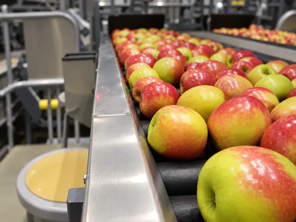 Apples on conveyor realistic 4 3